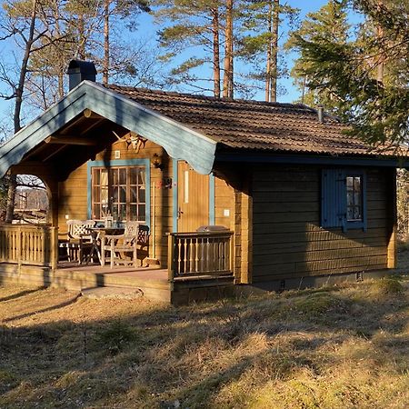 Timrad Stuga I Kanten Av Skogen Med Spa Moejlighet Mullsjö Dış mekan fotoğraf